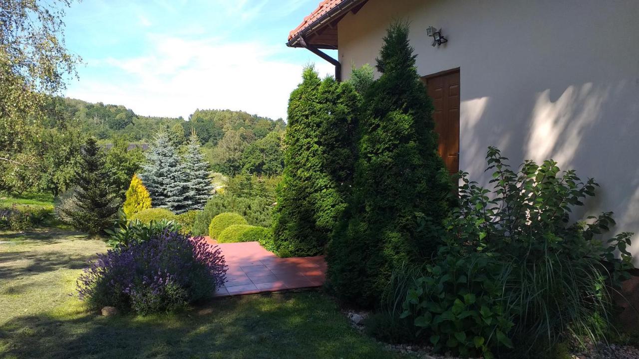 Przytulne Studio Borówkowy Zagajnik Piechowice (Karkonosze) Exterior foto