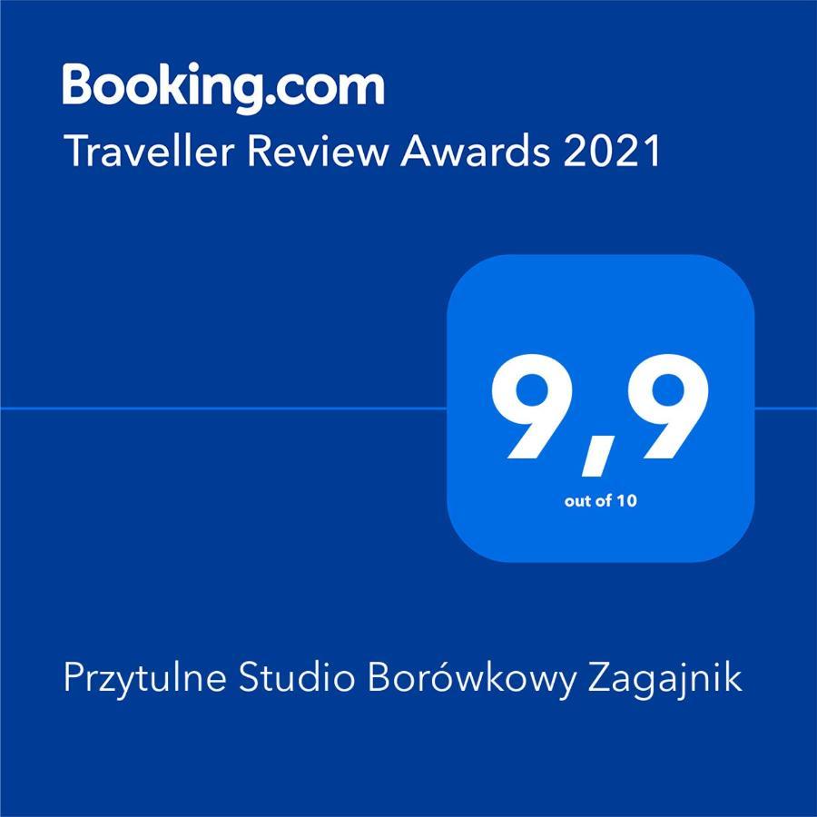 Przytulne Studio Borówkowy Zagajnik Piechowice (Karkonosze) Exterior foto