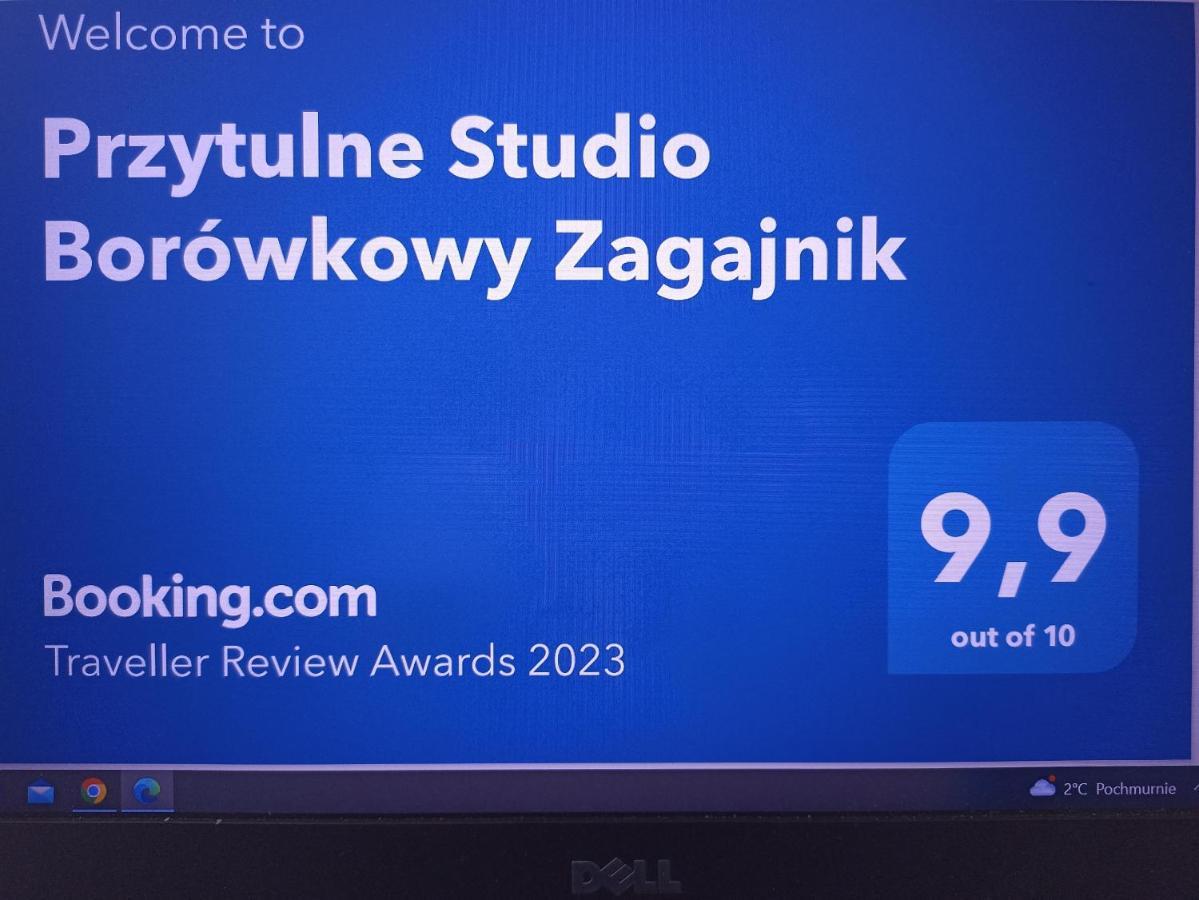 Przytulne Studio Borówkowy Zagajnik Piechowice (Karkonosze) Exterior foto